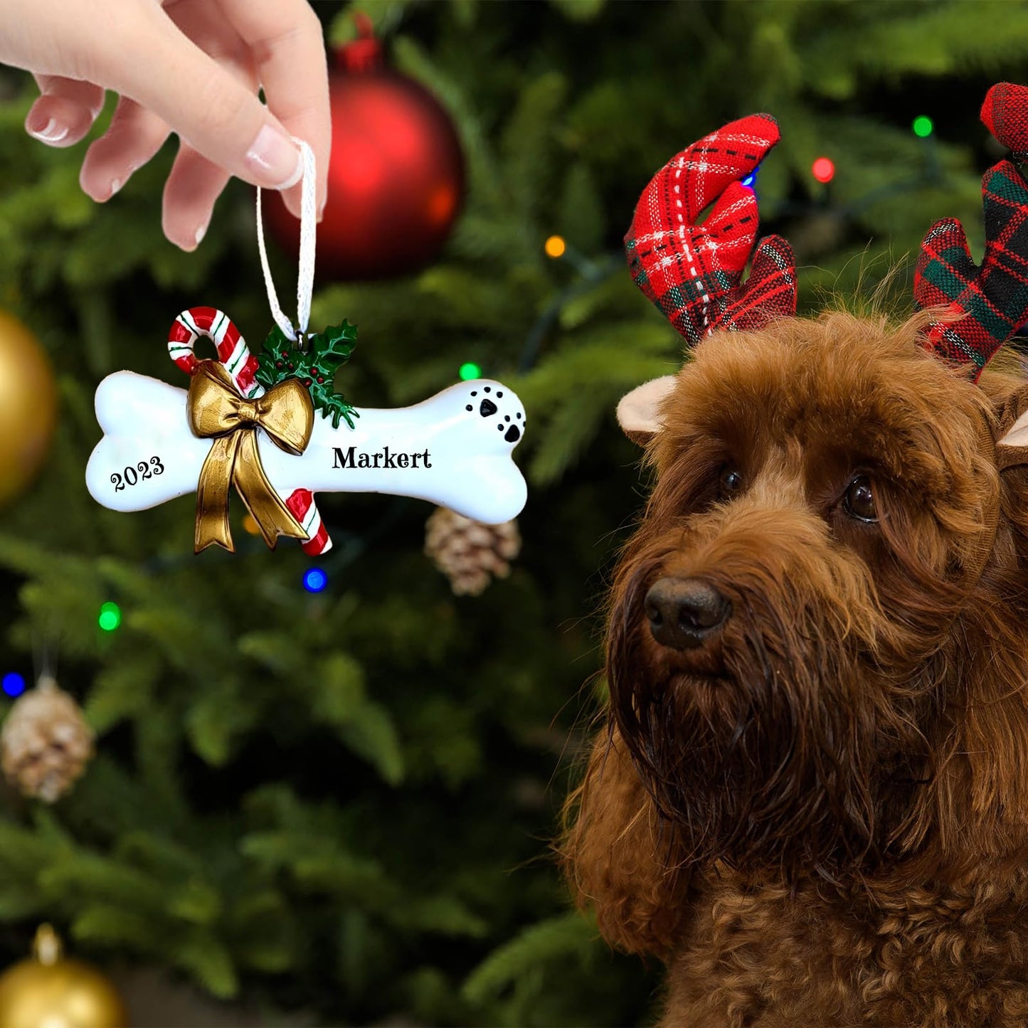 Personalized Dog Bone Christmas Ornament 2025, Custom Polyresin Hanging Dog Bone Ornament for Xmas Tree Decoration Holiday Family Decor Gifts