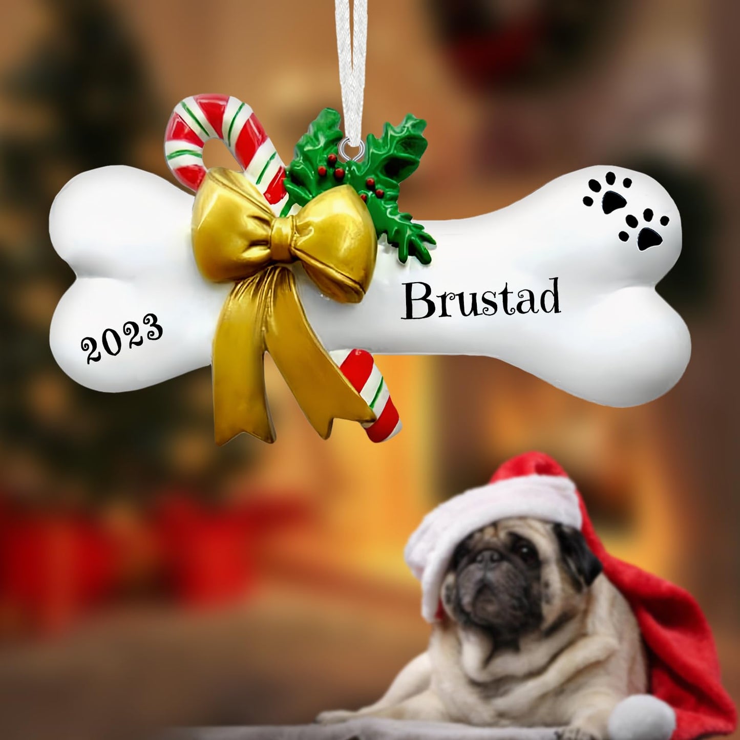 Personalized Dog Bone Christmas Ornament 2025, Custom Polyresin Hanging Dog Bone Ornament for Xmas Tree Decoration Holiday Family Decor Gifts
